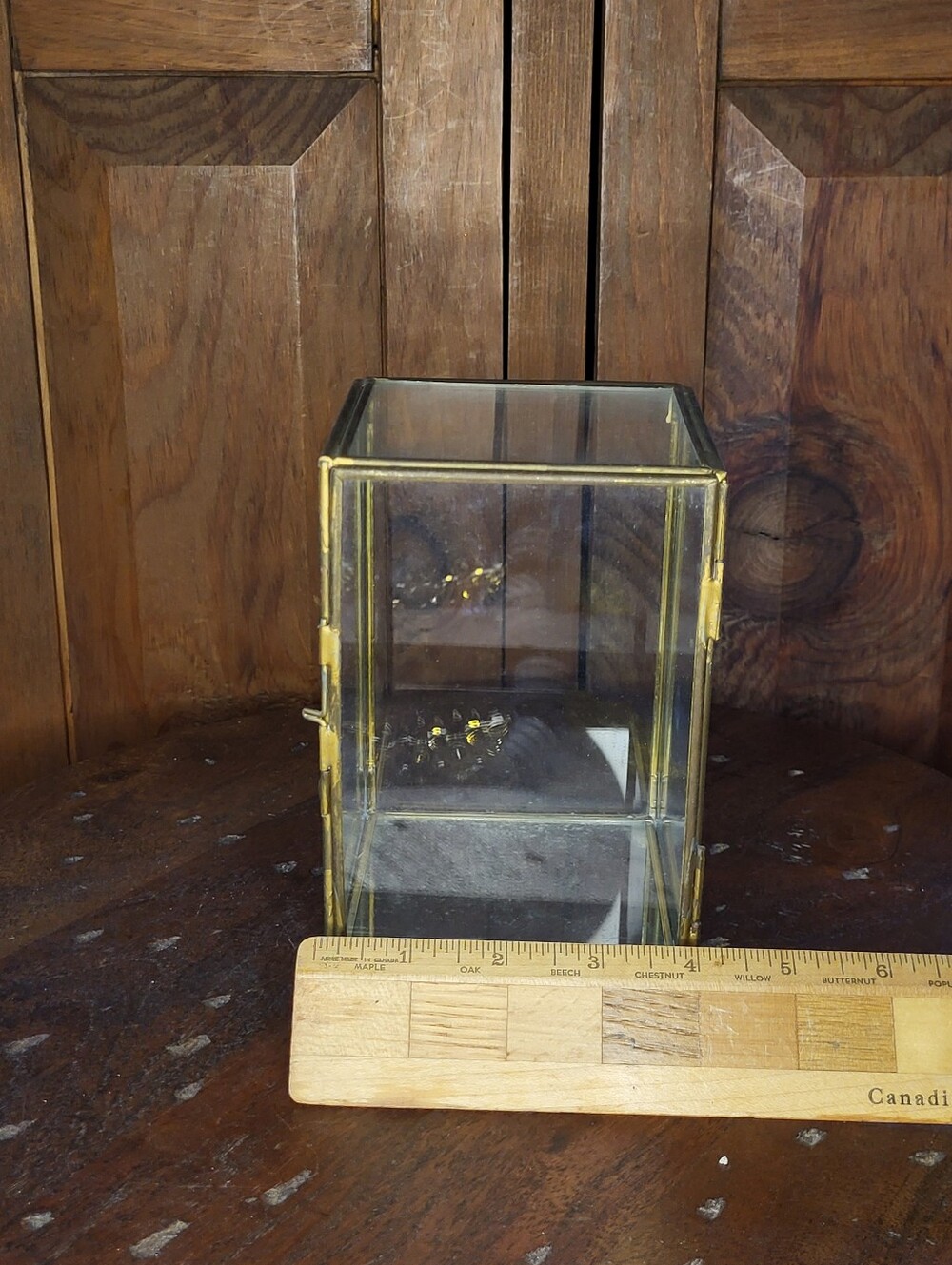 Glass Display Box with Brass Frame - Picture 5 of 10
